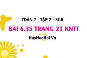 Bài 6.35 trang 21 Toán 7 Tập 2 Kết nối tri thức